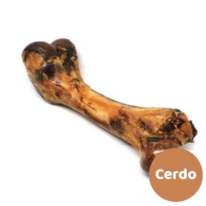 FEMUR CERDO