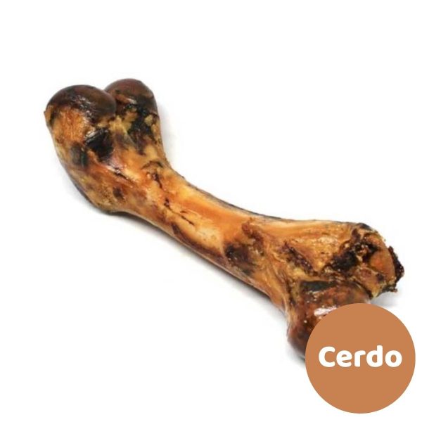 FEMUR CERDO