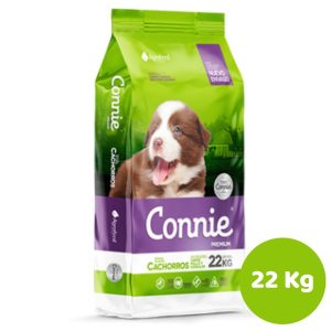 CONNIE PERRO CACHORRO 22