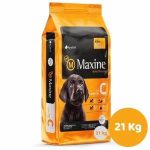 MAXINE CACHORRO 21KG