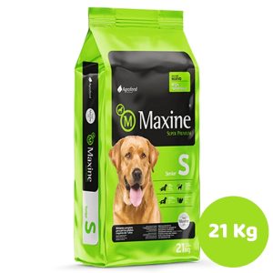 MAXINE SENIOR 21KG