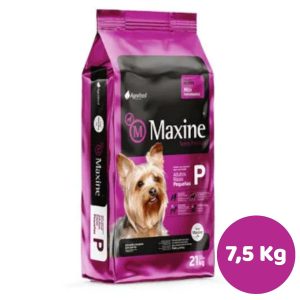 MAXINE ADULTO RAZA PEQUEÑA 7,5